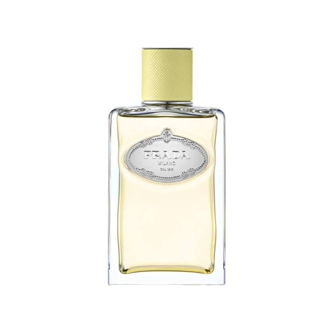 Prada – Infusion de Gingembre